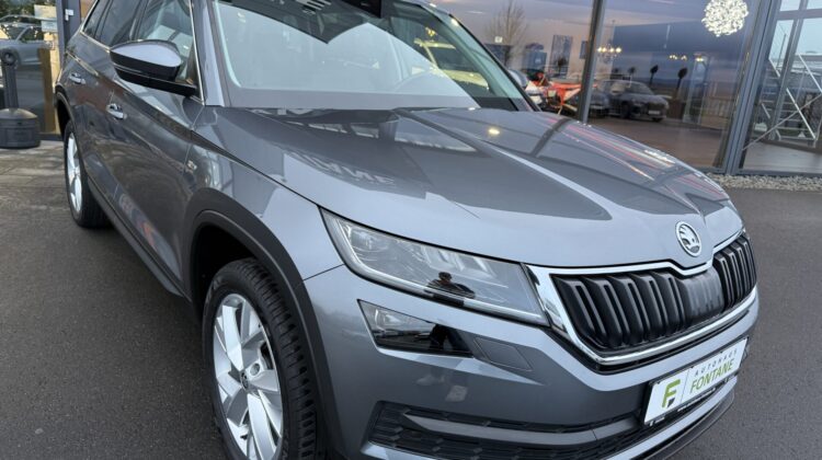 Kodiaq Soleil 4×4 Leder Standheizung LED AHK Kamera