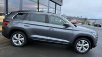 Kodiaq Soleil 4×4 Leder Standheizung LED AHK Kamera