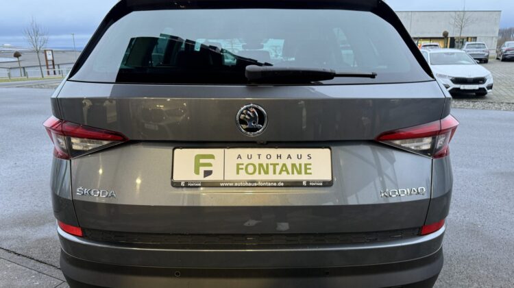 Kodiaq Soleil 4×4 Leder Standheizung LED AHK Kamera