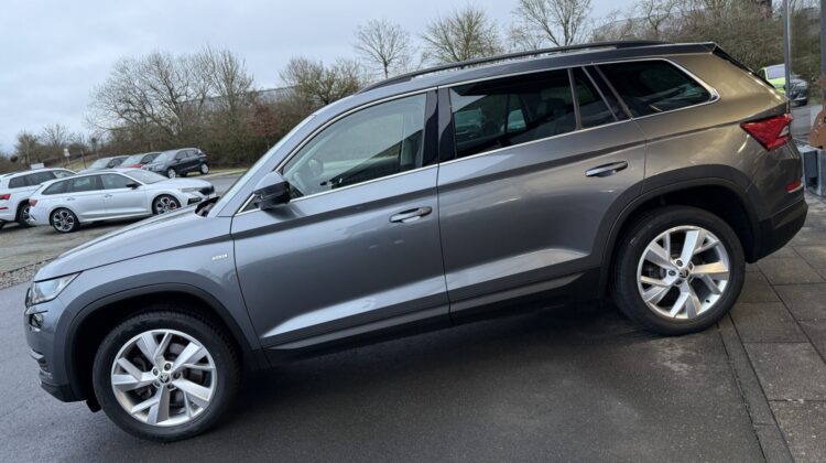 Kodiaq Soleil 4×4 Leder Standheizung LED AHK Kamera
