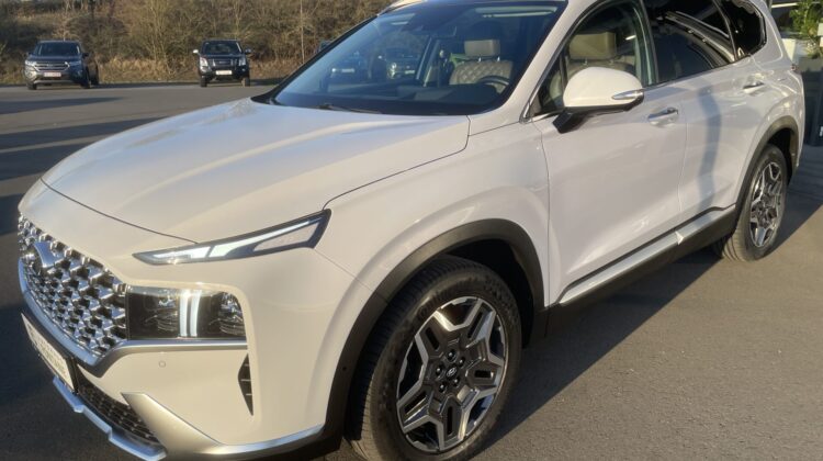 Santa Fe 4WD Hybrid Pano 19″ 7-Sitzer Leder LED