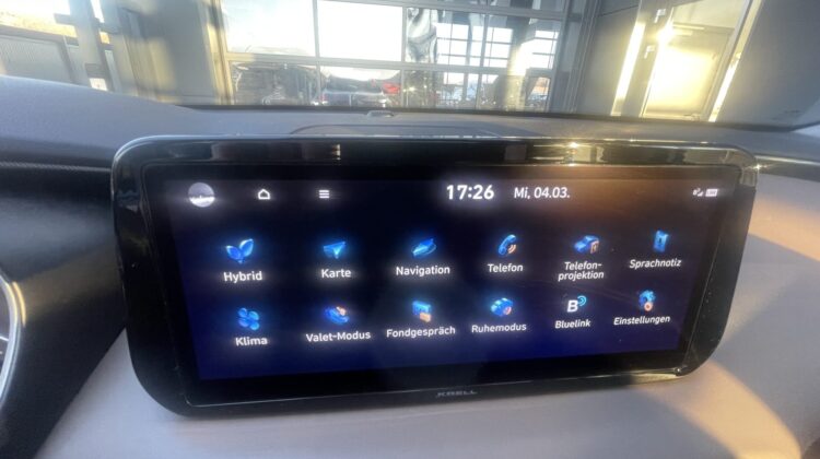 Santa Fe 4WD Hybrid Pano 19″ 7-Sitzer Leder LED