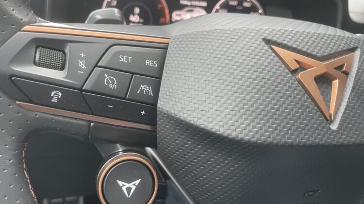 Formentor VZ 4Drive 19″ Brembo Leder DCC 360°