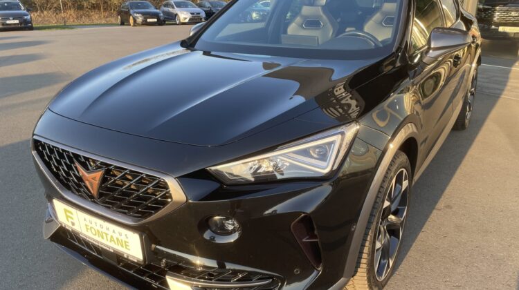 Formentor VZ e-Hybrid 19″ Teilleder Kam Sitzhz.