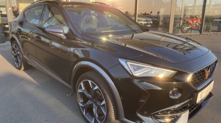 Formentor VZ e-Hybrid 19″ Teilleder Kam Sitzhz.