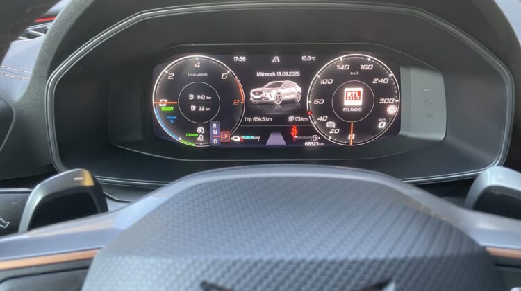 Formentor VZ e-Hybrid 19″ Teilleder Kam Sitzhz.