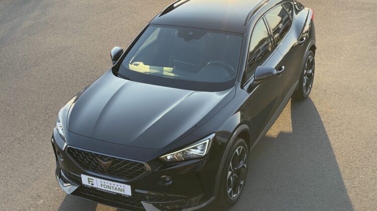 Formentor VZ e-Hybrid 19″ Teilleder Kam Sitzhz.