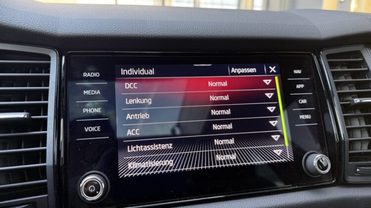 Kodiaq 2,0TDi Sportline 4×4 Pano 19″ AHK DCC ACC