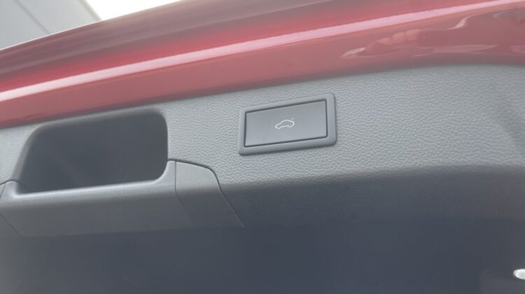 Passat 2.0TDI 4×4 R-Line Leder Pano Signature