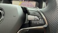 Kodiaq 2,0 TSi RS 4×4 Pano Columbus 360° LED