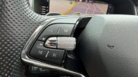 Kodiaq 2,0 TSi RS 4×4 Pano Columbus 360° LED