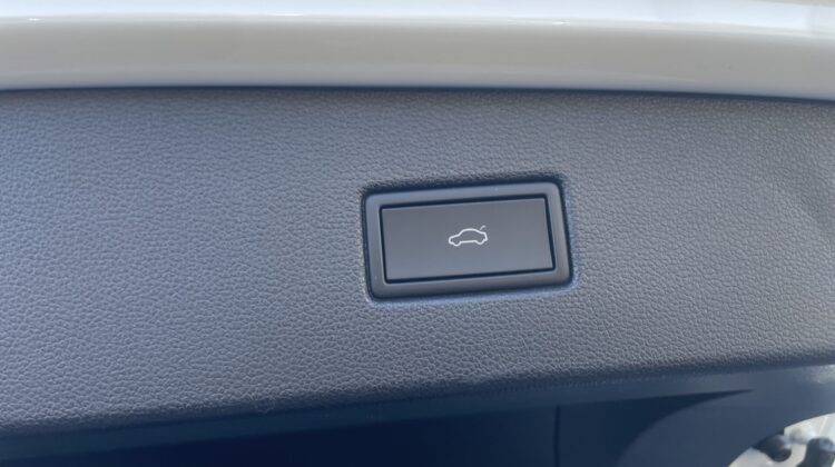 Tiguan R-Line 4Motion AHK IQ H&K DCC 20″