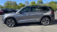 Kodiaq RS 2,0TSi 4×4 Pano AHK Voll-Leder 360°