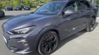 Terramar PHEV eHybrid 200kW VZ Leder Pano Matrix