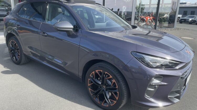 Terramar PHEV eHybrid 200kW VZ Leder Pano Matrix