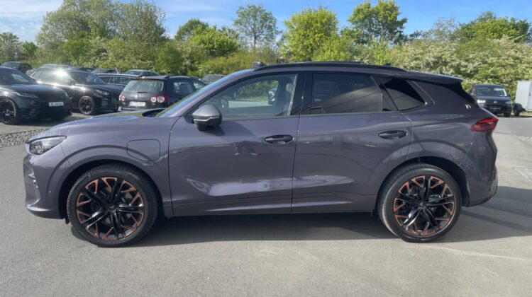 Terramar PHEV eHybrid 200kW VZ Leder Pano Matrix
