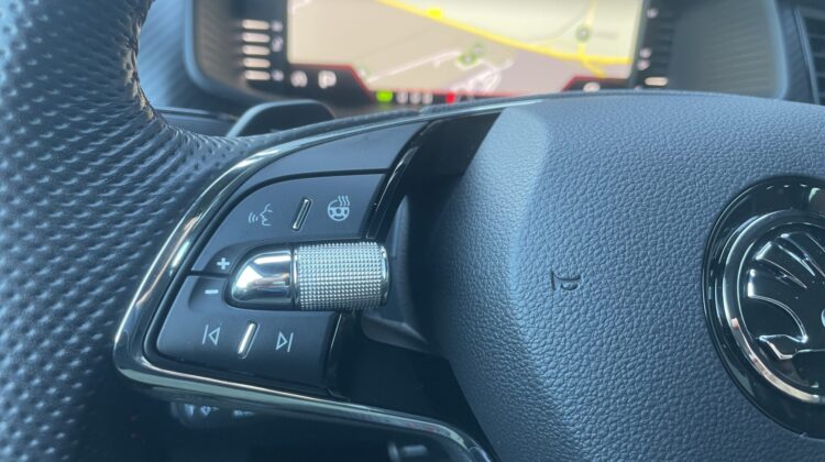 Kodiaq 2,0TSi RS 4×4 Pano AHK 360°Canton Leder