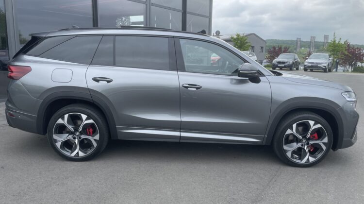 Kodiaq 2.0TSI 195kW RS 7-Sitze Pano AHK Canton