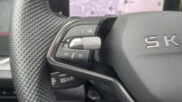 Kodiaq 2.0TSI 195kW RS 7-Sitze Pano AHK Canton