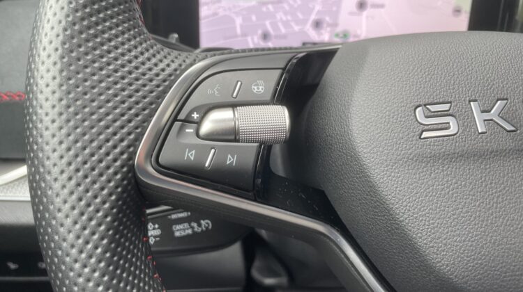 Kodiaq 2.0TSI 195kW RS 7-Sitze Pano AHK Canton