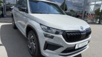 Kodiaq RS 4×4 eAHK 20″ Kamera Columbus DCC Lane