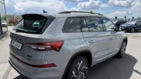 Kodiaq RS 4×4 eAHK 20″ Kamera Columbus DCC Lane