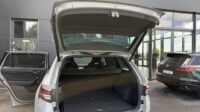 Kodiaq RS 4×4 eAHK 20″ Kamera Columbus DCC Lane
