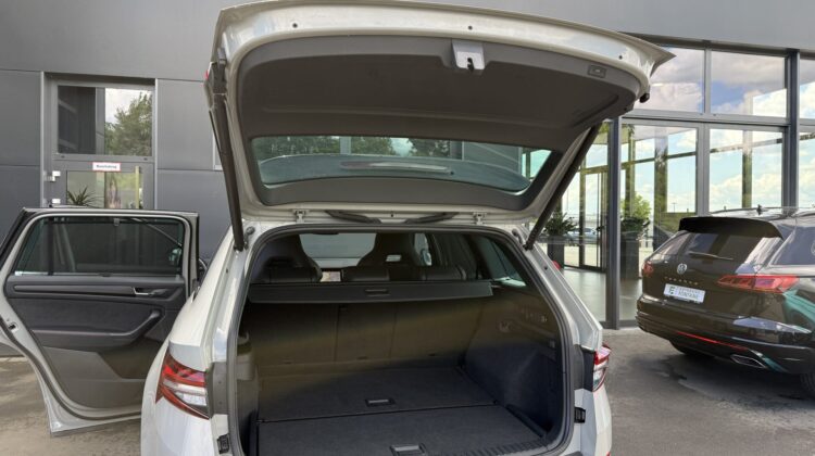 Kodiaq RS 4×4 eAHK 20″ Kamera Columbus DCC Lane