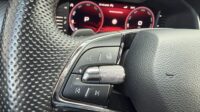 Kodiaq RS 4×4 eAHK 20″ Kamera Columbus DCC Lane