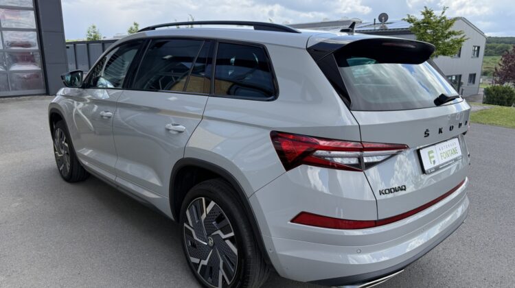 Kodiaq RS 4×4 eAHK 20″ Kamera Columbus DCC Lane