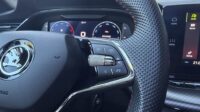 Octavia 2,0TDi Kombi RS Pano 19″ AHK DCC Matrix
