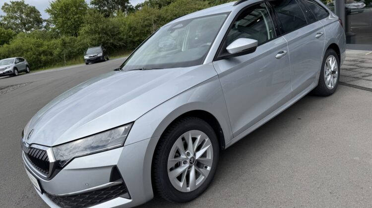 Octavia 2.0 TDI Selection Kamera Keyless LED ACC