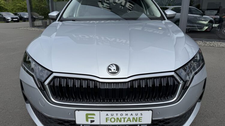 Octavia 2.0 TDI Selection Kamera Keyless LED ACC