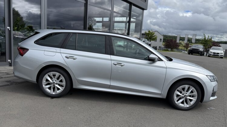 Octavia 2.0 TDI Selection Kamera Keyless LED ACC