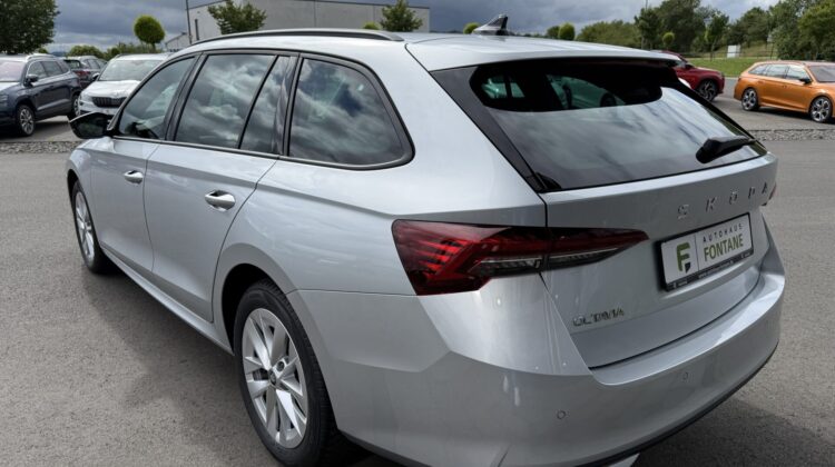 Octavia 2.0 TDI Selection Kamera Keyless LED ACC