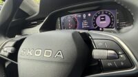 Octavia 2.0 TDI Selection Kamera Keyless LED ACC