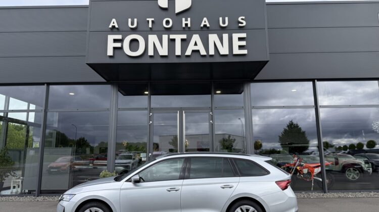 Octavia 2.0 TDI Selection Kamera Keyless LED ACC