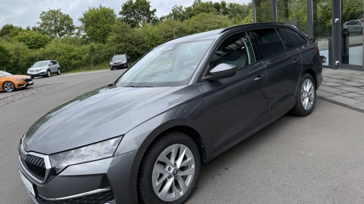 Octavia 2.0 TDI Selection Kamera Keyless LED ACC
