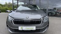 Octavia 2.0 TDI Selection Kamera Keyless LED ACC