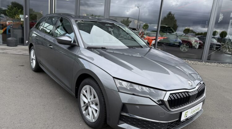 Octavia 2.0 TDI Selection Kamera Keyless LED ACC