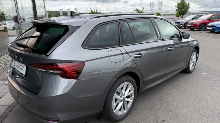 Octavia 2.0 TDI Selection Kamera Keyless LED ACC