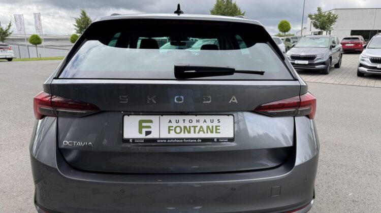 Octavia 2.0 TDI Selection Kamera Keyless LED ACC