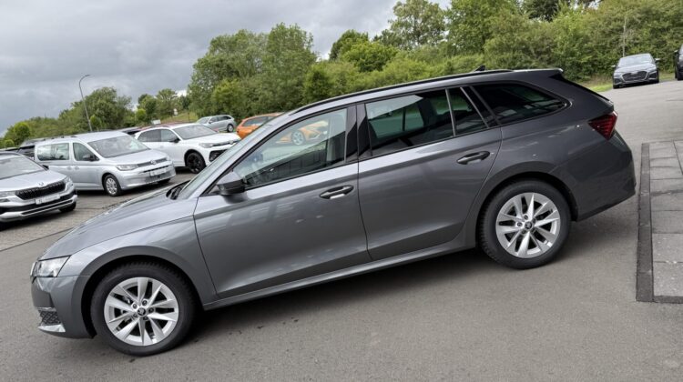 Octavia 2.0 TDI Selection Kamera Keyless LED ACC