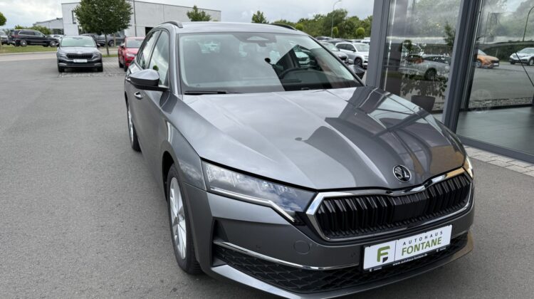 Octavia 2.0 TDI Selection Kamera Keyless LED ACC