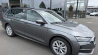 Octavia 2.0 TDI Selection Kamera Keyless LED ACC