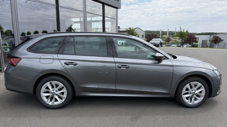 Octavia 2.0 TDI Selection Kamera Keyless LED ACC
