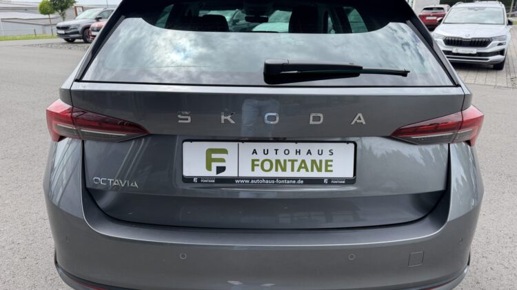 Octavia 2.0 TDI Selection Kamera Keyless LED ACC