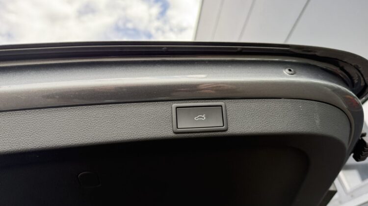 Octavia 2.0 TDI Selection Kamera Keyless LED ACC