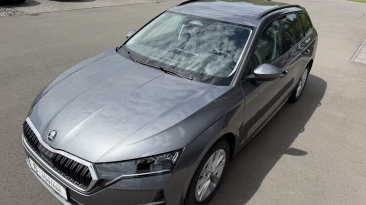 Octavia 2.0 TDI Selection Kamera Keyless LED ACC