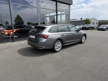 Octavia 2.0 TDI Selection Kamera Keyless LED ACC
